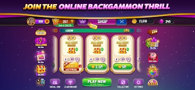 Backgammon Plus - Board Game screenshot 1