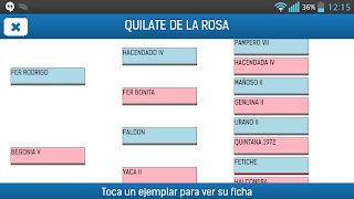 Studbook screenshot 3