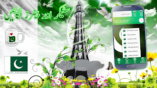 Pak Flag Flex maker 14 august ภาพหน้าจอ 6