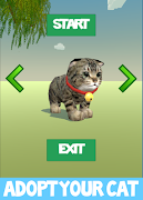 Talking Cat poster
