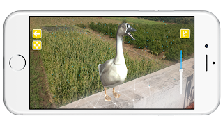 AR Animals - Using Ar Core تصوير الشاشة 2