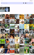 Fossify Gallery imagem de tela 7