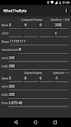 WhatTheByte ポスター