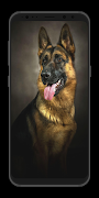 German Shepherd Wallpaper-Live screenshot 1