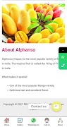 Ratnagiri Hapus Mango screenshot 2