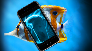 xray scanner photo filter bài đăng