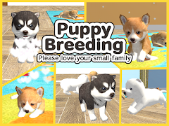 My Puppies screenshot 1