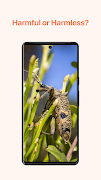 Insect Identifier App AI syot layar 2