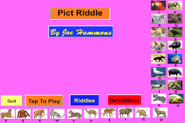 PictRiddle 포스터