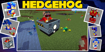 Hedgehog mod screenshot 7