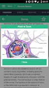 Nervous System Reference Guide スクリーンショット 5