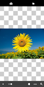 Transparent Image পোস্টার