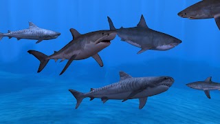 Fish Farm 3 - Aquarium স্ক্রিনশট 3