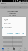 Debtor Ledger screenshot 1
