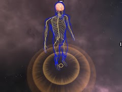Human Nervous system Screenshot 1