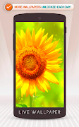 Sunflower screenshot 2