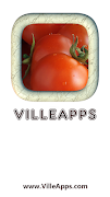 Growing Tomatoes poster