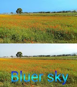 Photo/Vector Graphics Editor syot layar 1