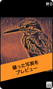 برنامه‌نما 絵画カメラ عکس از صفحه