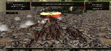 Ant Simulation 3D تصوير الشاشة 1