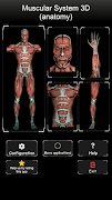Muscular System 3D (anatomy) syot layar 1