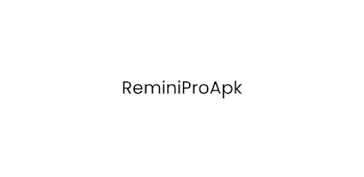 RemiPro Ekran Görüntüsü 2