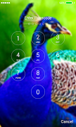 Pavo Lock Screen screenshot 5