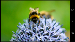Cam Gallery screenshot 1