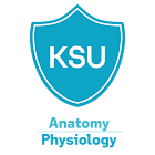 Anatomy Physiology آئیکن