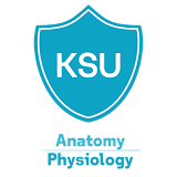 Anatomy Physiology 아이콘