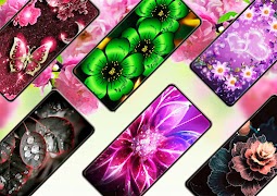 Flower Wallpapers screenshot 4