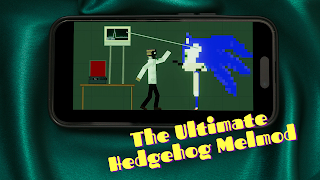 Hedgehog Mod Melon Playground capture d'écran 6