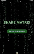 SnakeMatrix скриншот 3