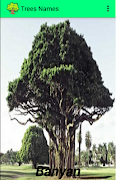 برنامه‌نما Trees Names عکس از صفحه
