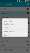 Learn Arabic تصوير الشاشة 2