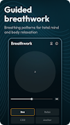 Binaural Beats Brainwaves screenshot 6
