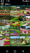 花園 截圖 6