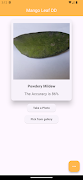 Mango Leaf Disease Detection 截圖 6