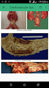 Practical Pathology 스크린샷 1