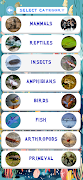 ANIMALS TRIVIA скриншот 1