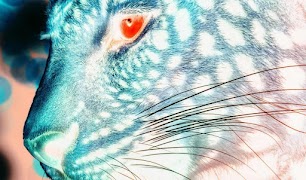 Style Transfer 截图 5