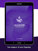 Goodwin screenshot 6