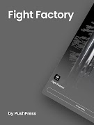Fight Factory ภาพหน้าจอ 4