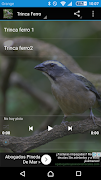 ferro trinca poster