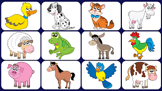 Poster Video Touch - Animali