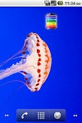 Rainbow Battery poster