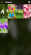 Spring Flowers Pattern Lock Screen syot layar 6