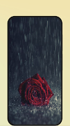 Black Rose Screenshot 5