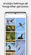 Imagery الملصق