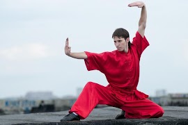 Learn Kung Fu Training 2020 capture d'écran 7